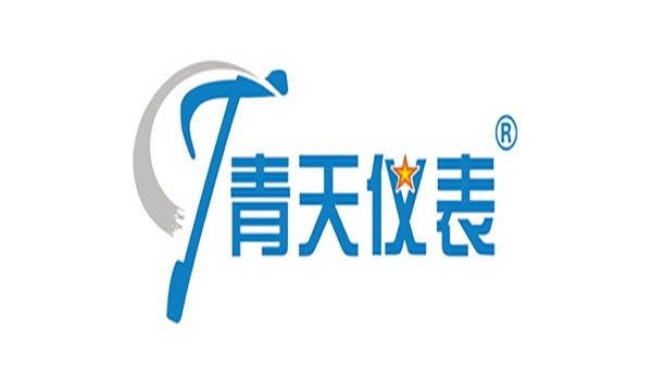 旋進旋渦（wō）氣體流量計測量精度（dù）不準的原因